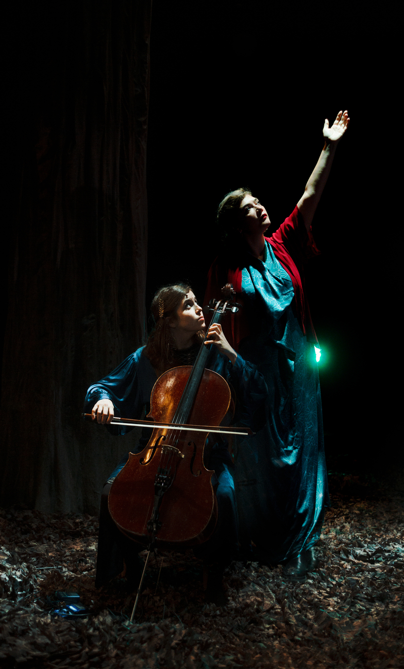 Image for Birds on a Wire