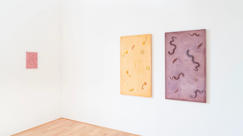 Valentina Pini. Calibrando l’occhio. Image for Valentina Pini. Calibrando l’occhio.