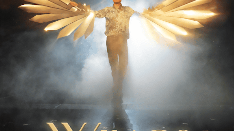 Peter Marvey - WINGS