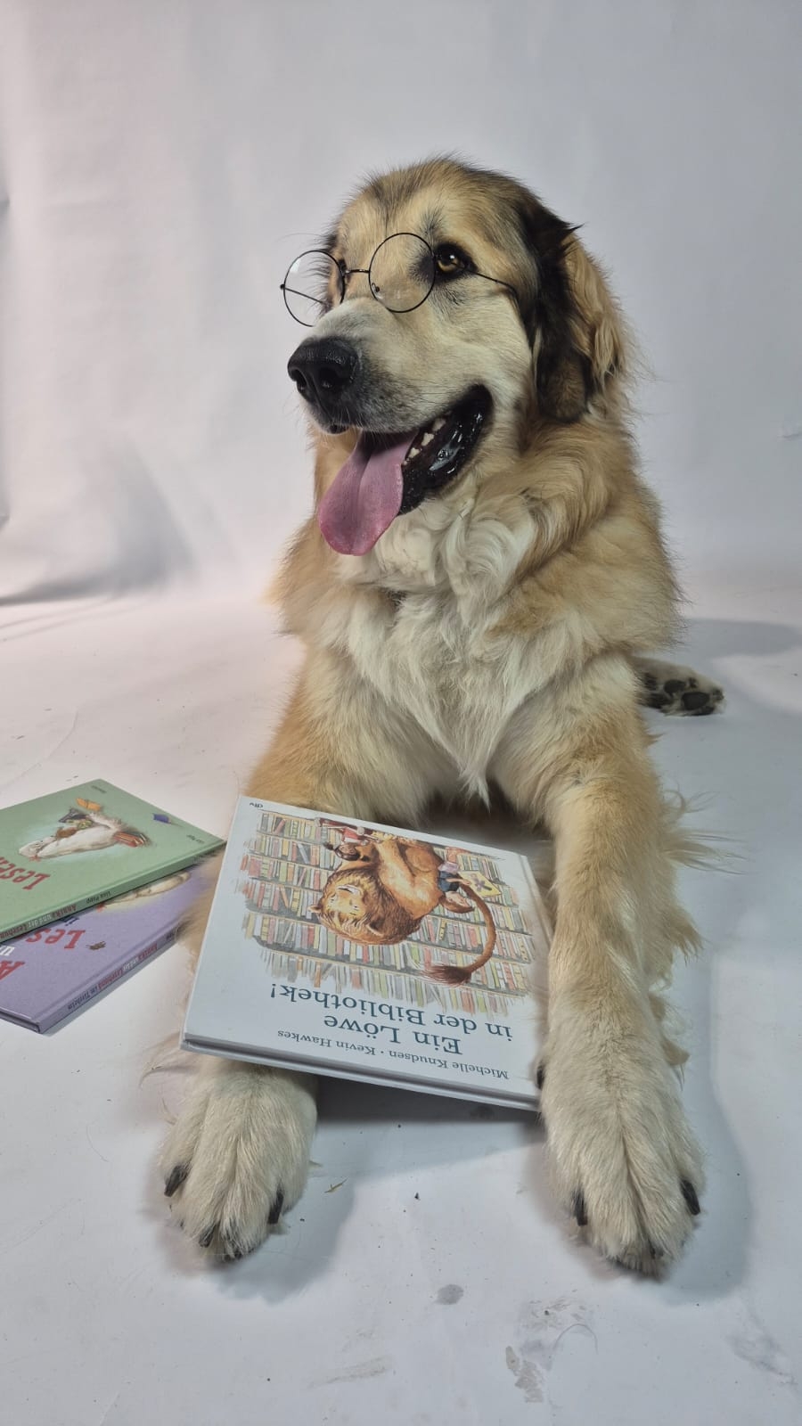 WhatsApp Image 2025 07 08 at 19 31 03