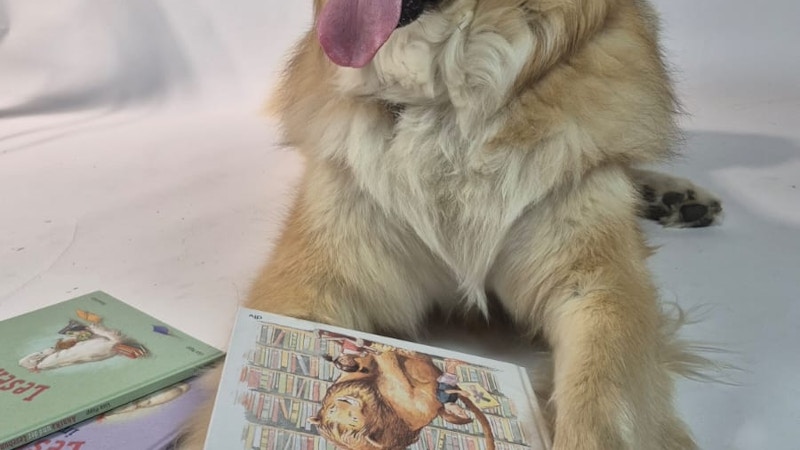 WhatsApp Image 2025 07 08 at 19 31 03 WhatsApp Image 2025 07 08 at 19 31 03