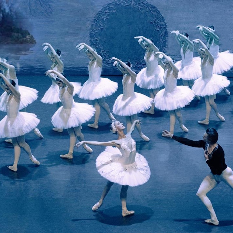 Swan Lake copie Swan Lake copie