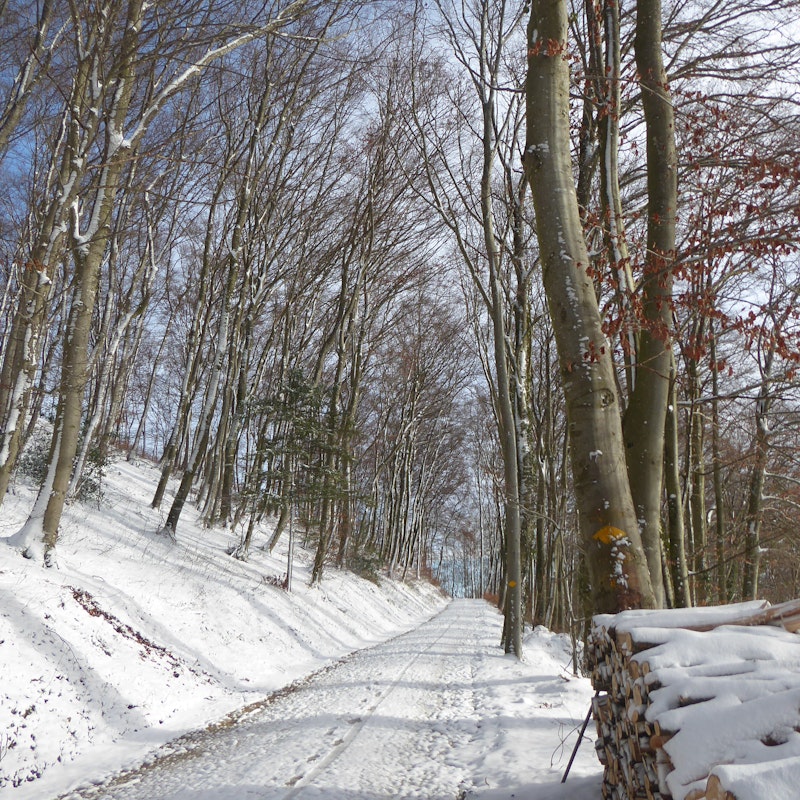 © Luzia Zust © Luzia Zust