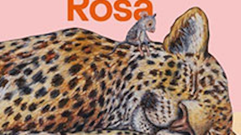 Rigo und Rosa - Wie alles begann