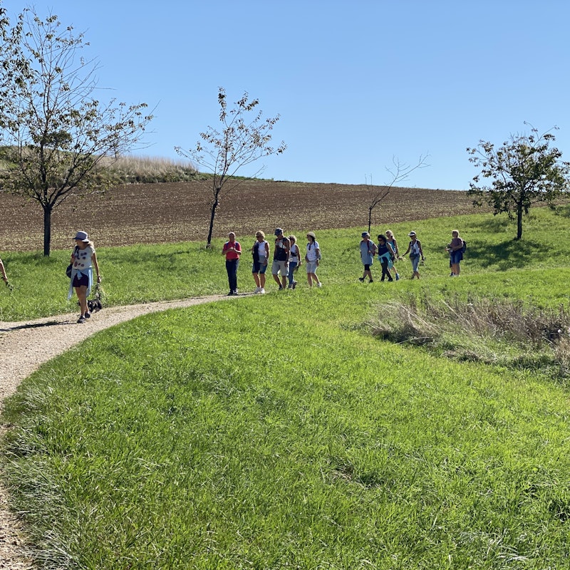 © Soulness © Soulness