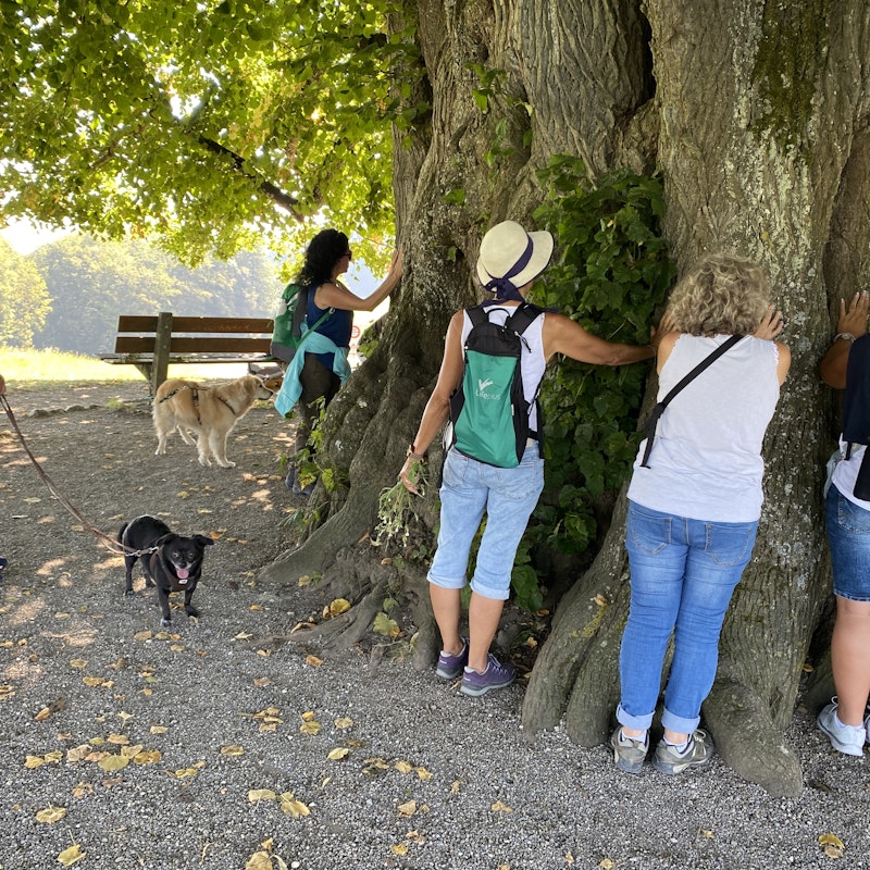 © Soulness © Soulness