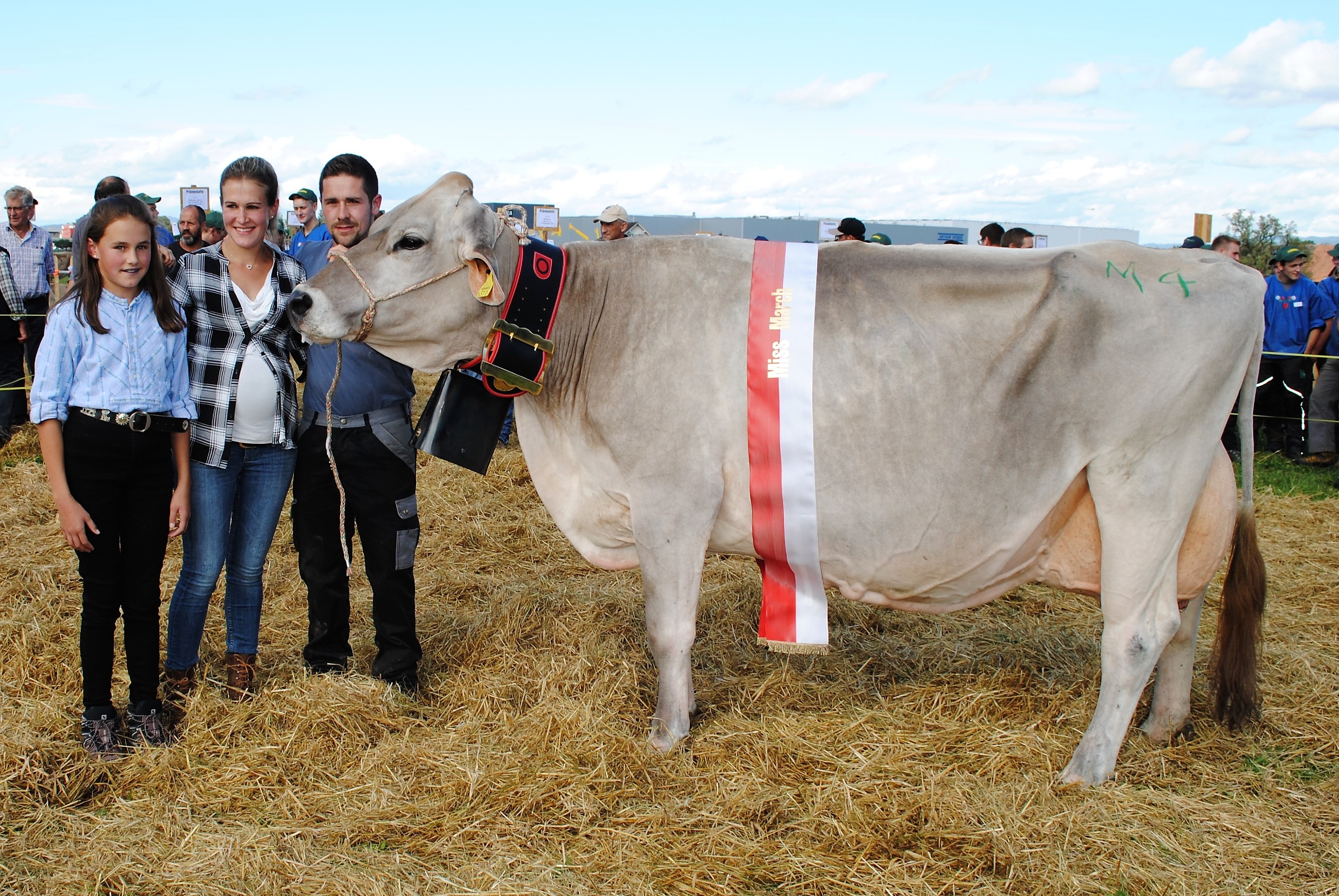 Bezirksviehschau March