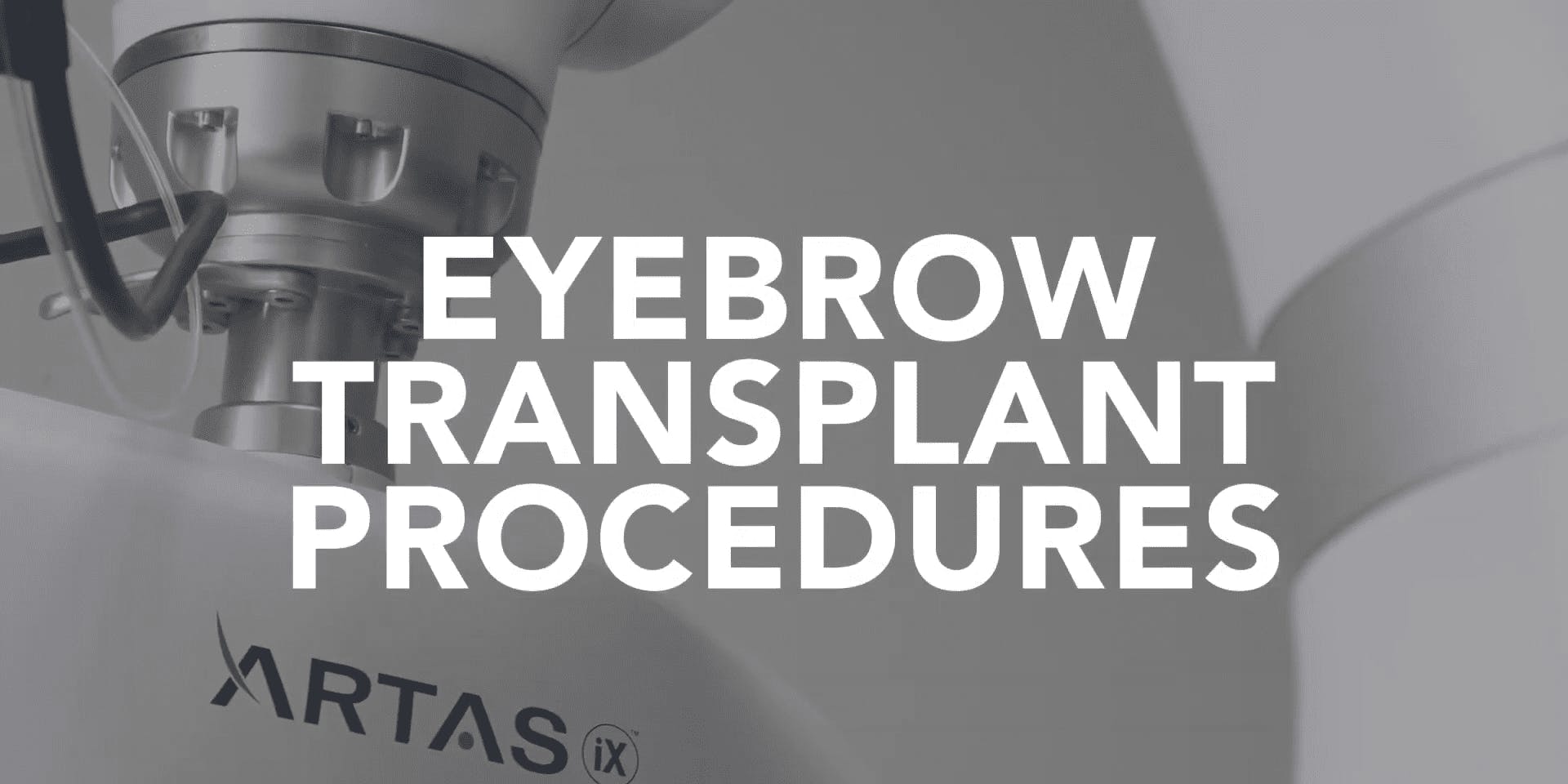 Eyebrow transplant procedures