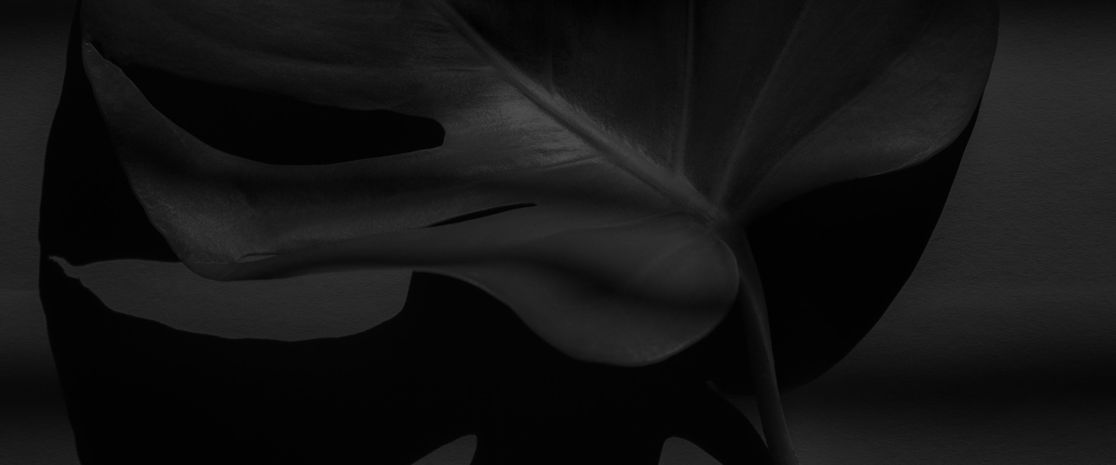 Banner media
