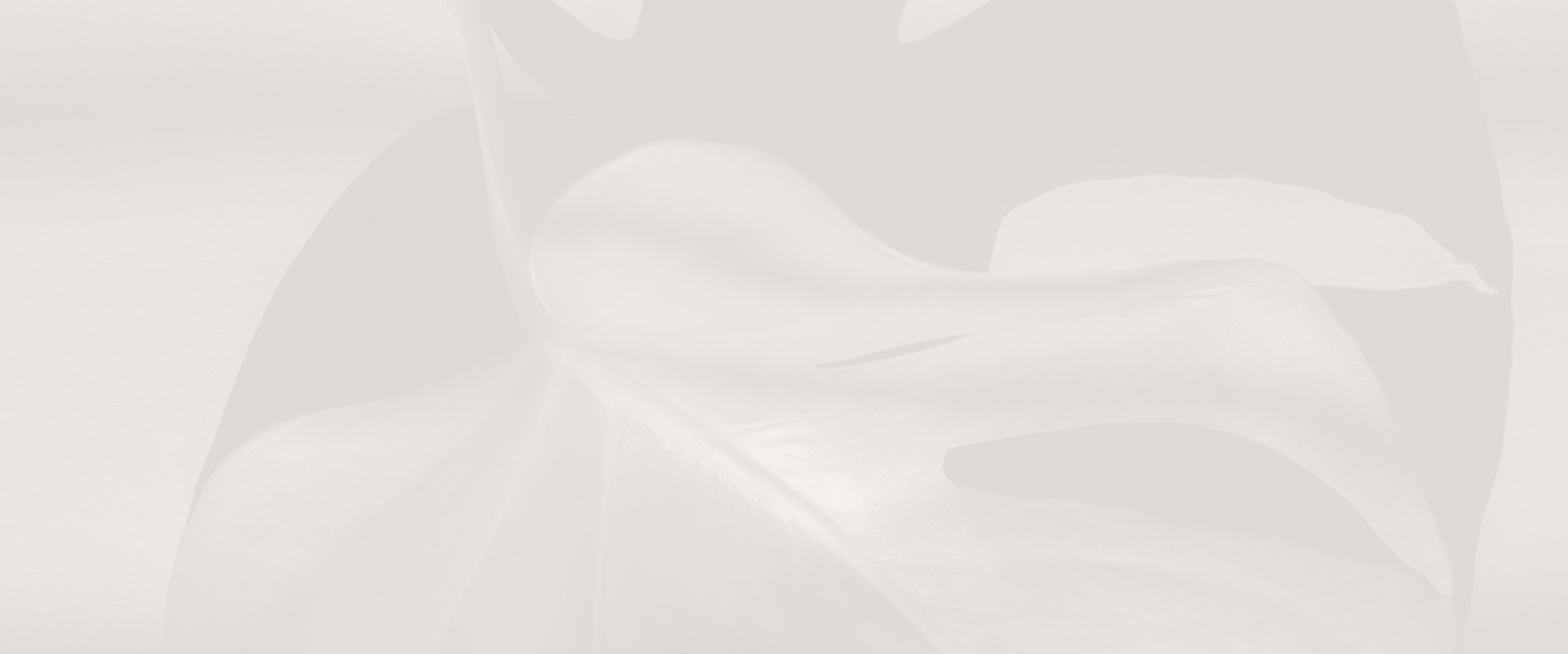 Banner media