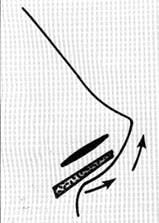 Dynamo Collumela Structure Dynamo Collumela Structure