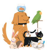 animaux