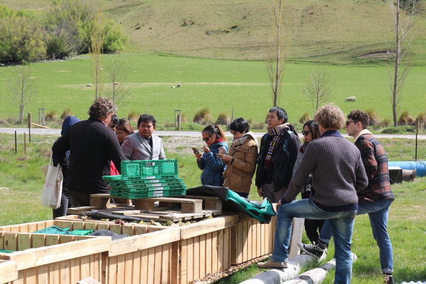 Michael Sly Worm farms ResizedImageWzg2MSw1NzRd