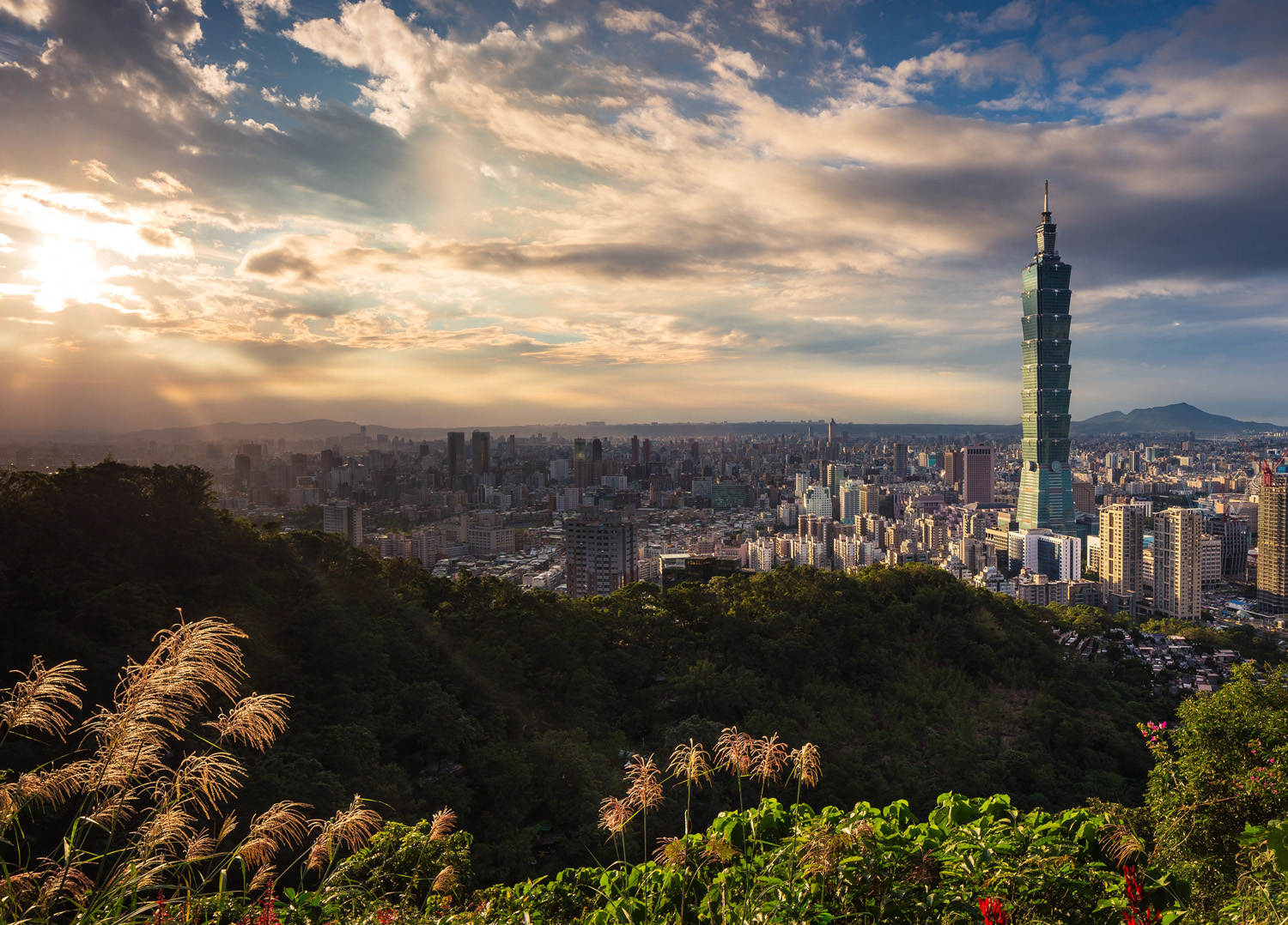 Taipei city viewed from bush-covered hills
