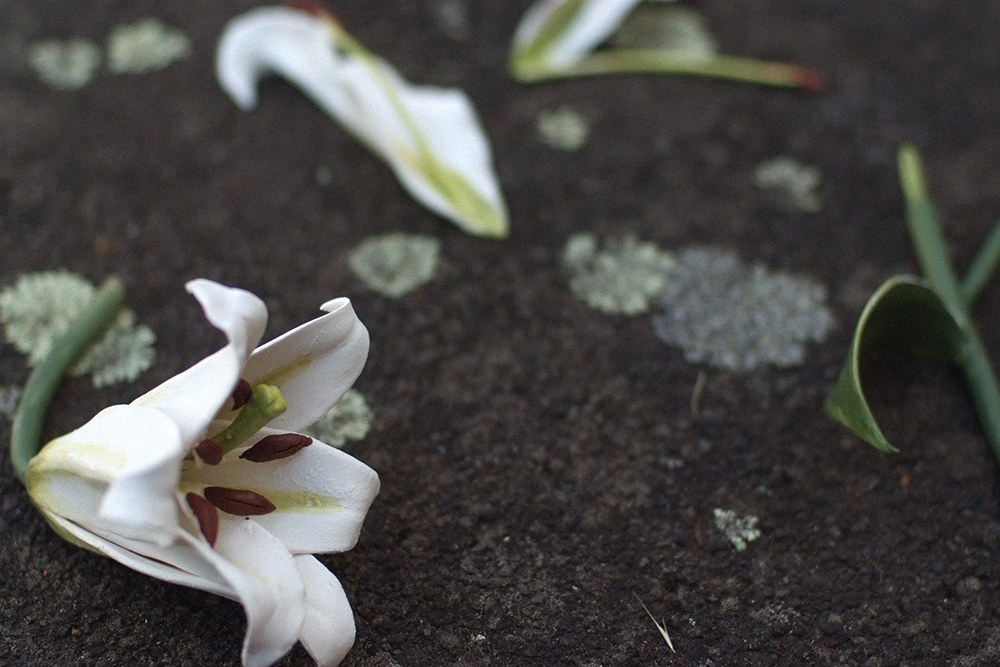 A ceramic flower sitting on concrete ground with lichen