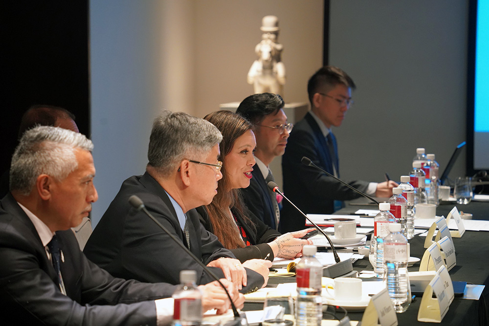 Foundation Track II delegate speaking at a roundtable event