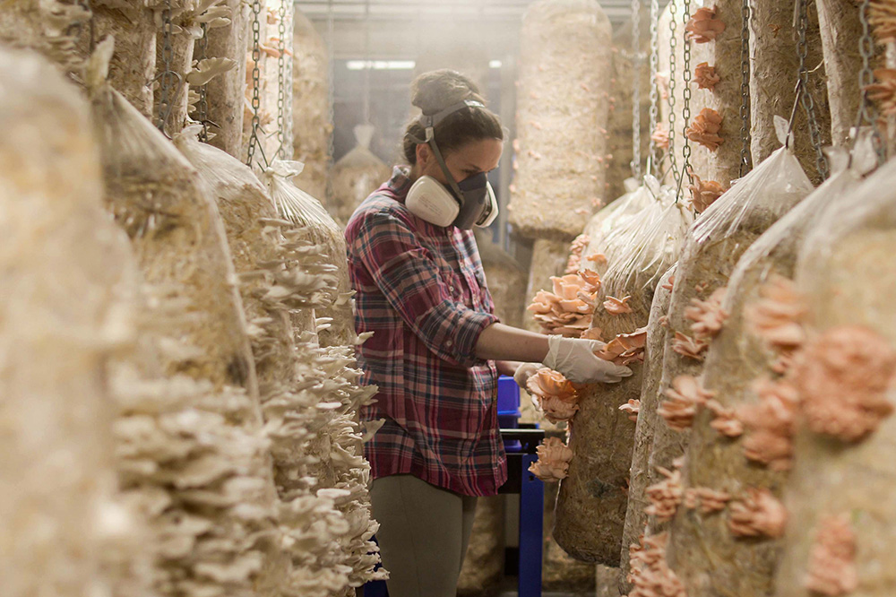 Rochelle looking at mushrooms growing in a shed