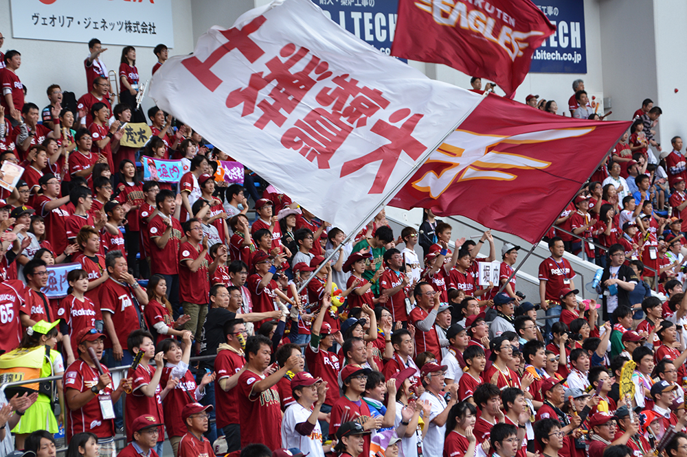 A crowd of people dressed in team colours and waving flags