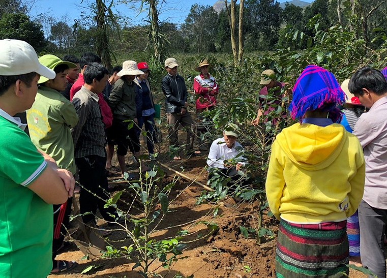 A group of people standing around the bush