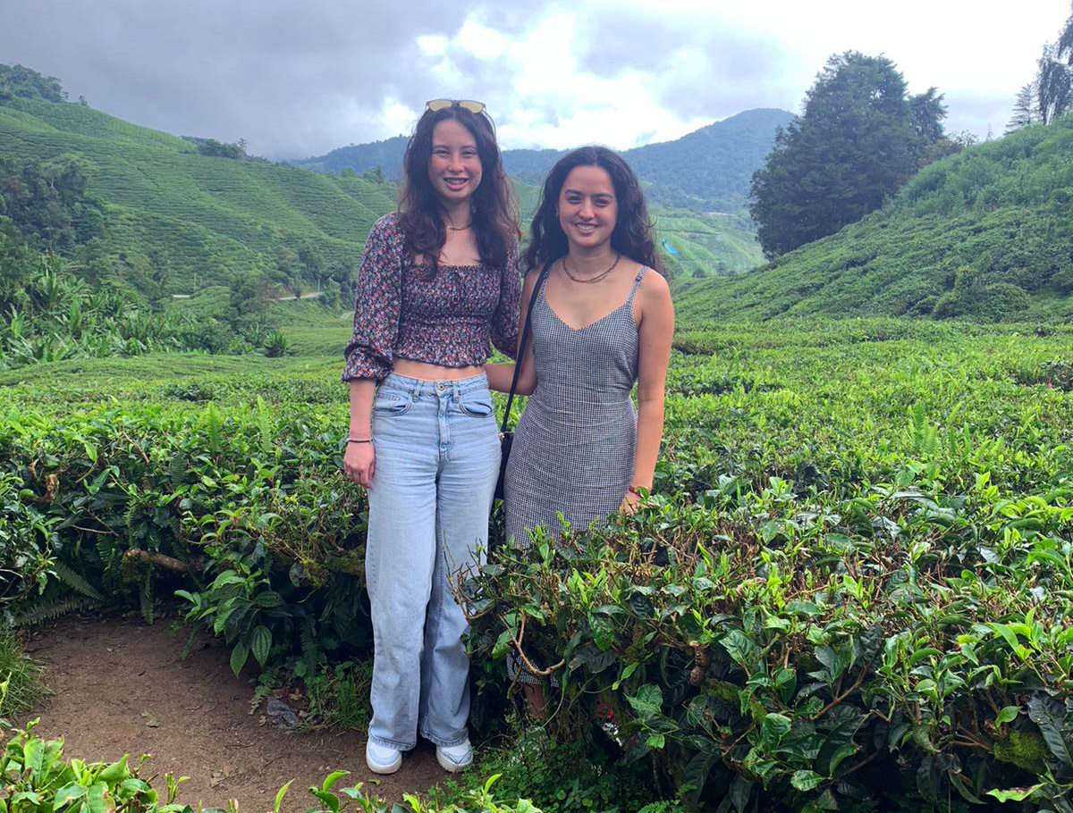Noriko (right) and Emmalee standing in a tea plantation in the Cameron Highlands