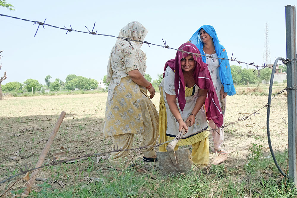 Three women working in a filed