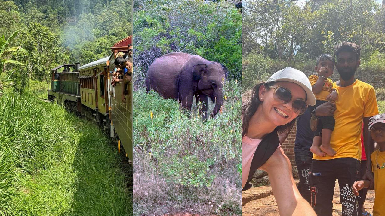 A montage of the photo -s showing a train going through lush jungle, an elephant and a woman taking a selfie with a family