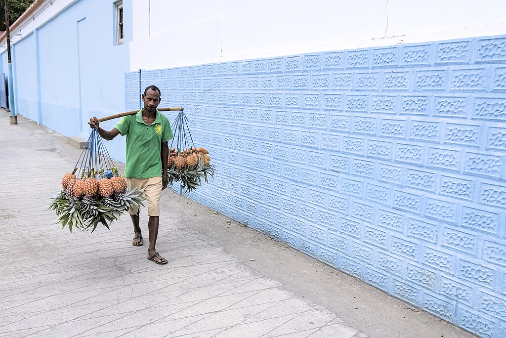 A pineqapple seller walking along a street with pineapples slung at the end of a long pole he is carrying across his shoulders