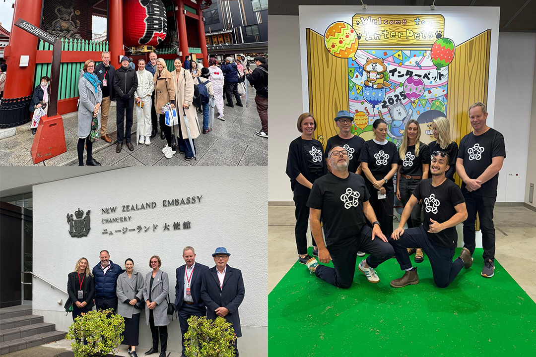 The delegates posing for photos by a shrine, the NZ Embassy and in front of a pet expo mural