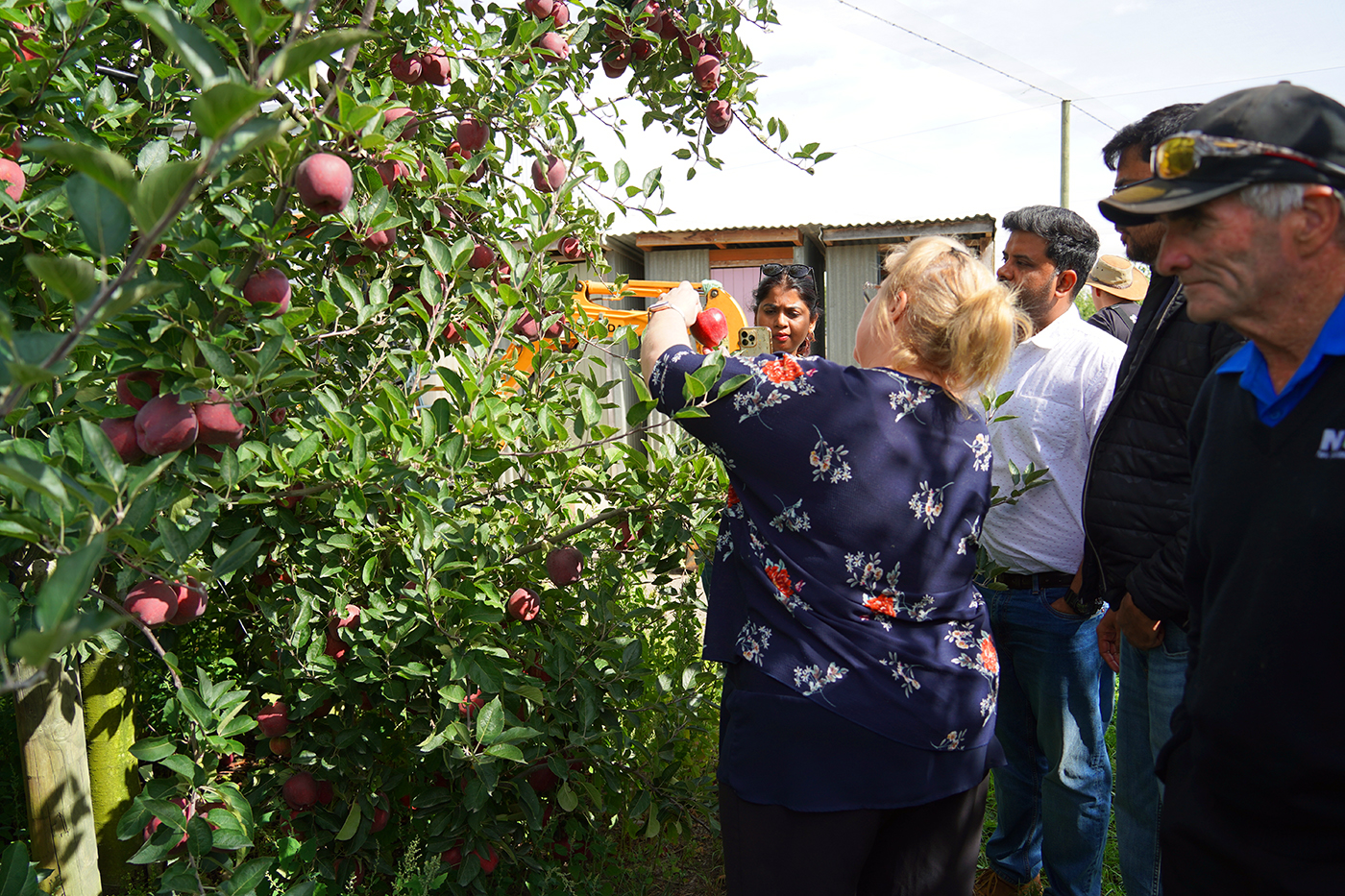 A group of people lisytening to a woman as she shows them an apple on a tree