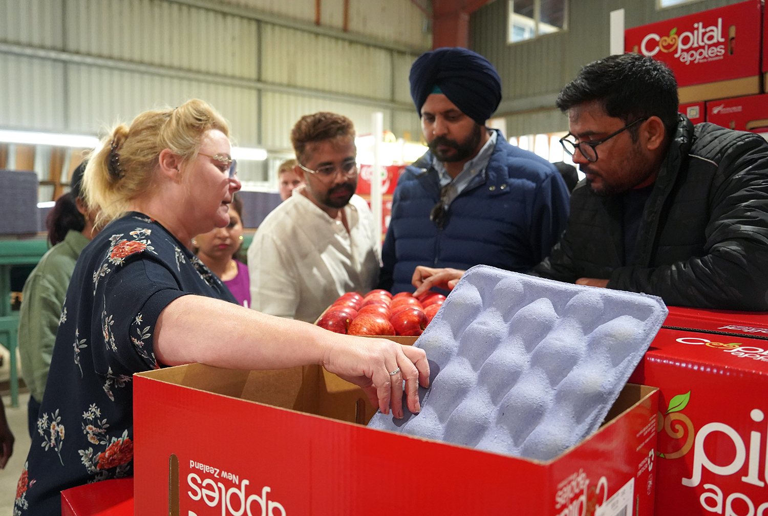 A woman shows the Indian entrepreneurs apples in a box