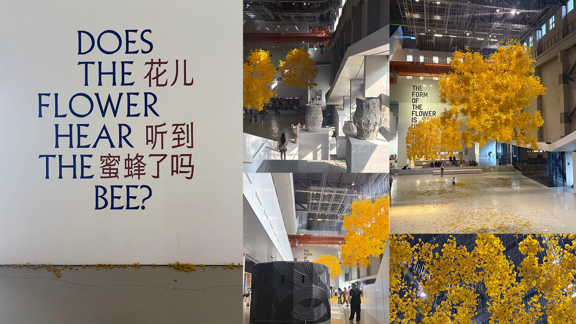 A montage of images showing an artwork of a cloud of yellow petals at an exhibition in a Shanghai gallery
