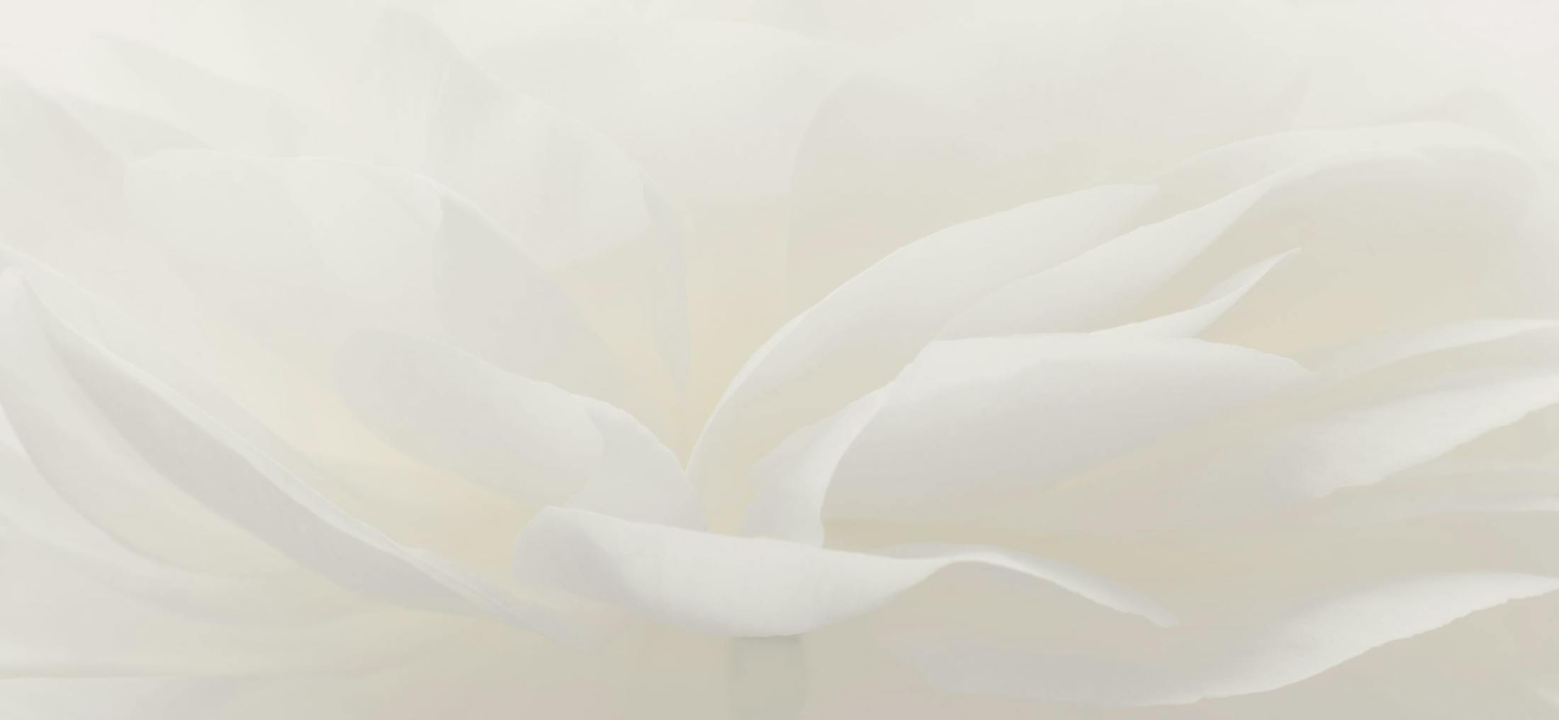Background media