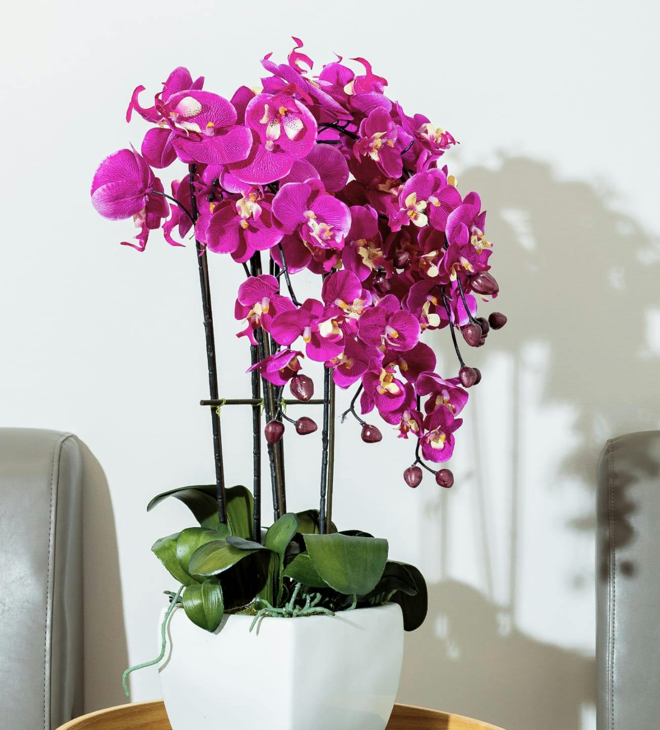 orchids on end table