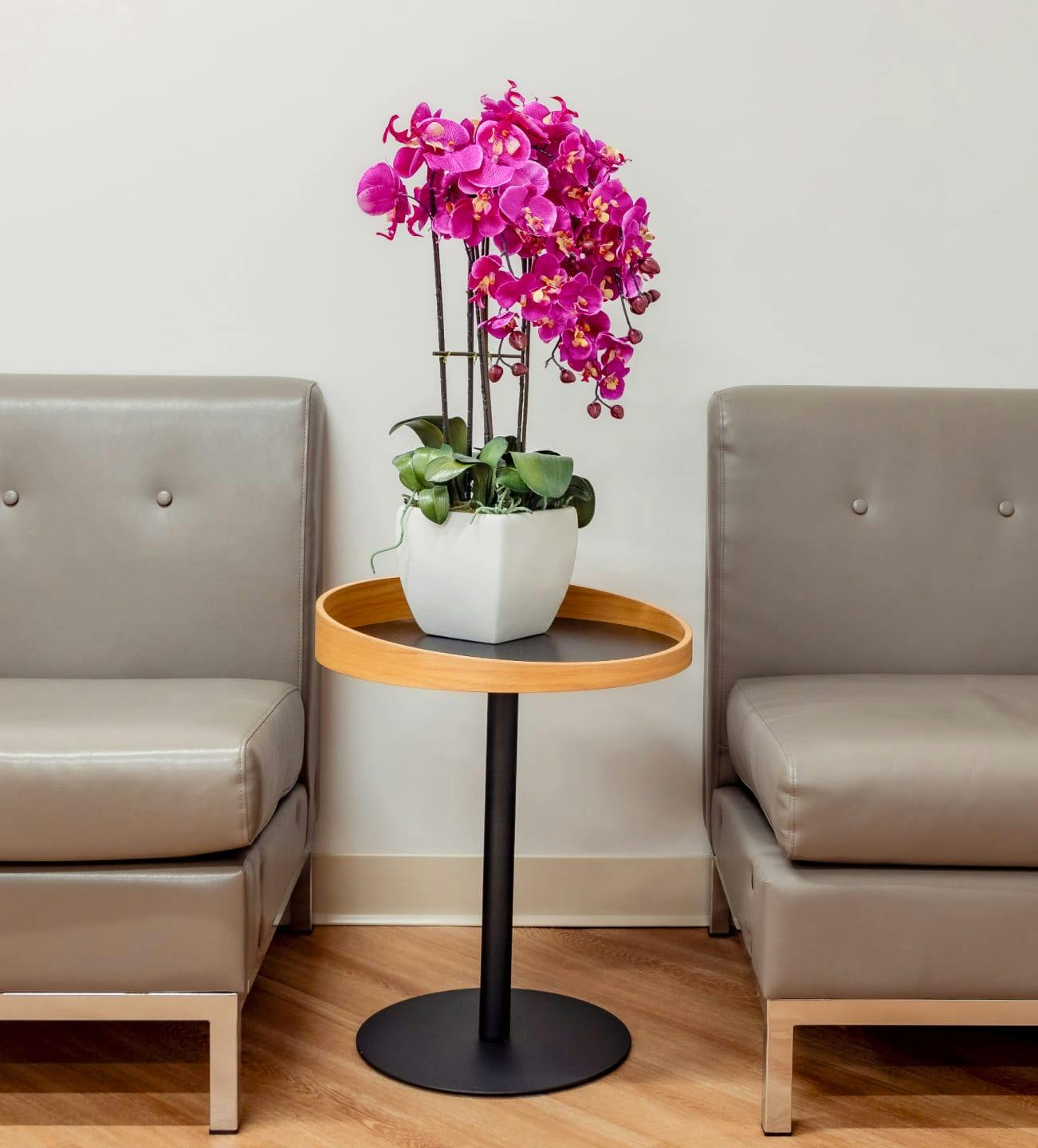 orchids between waiting room chairs