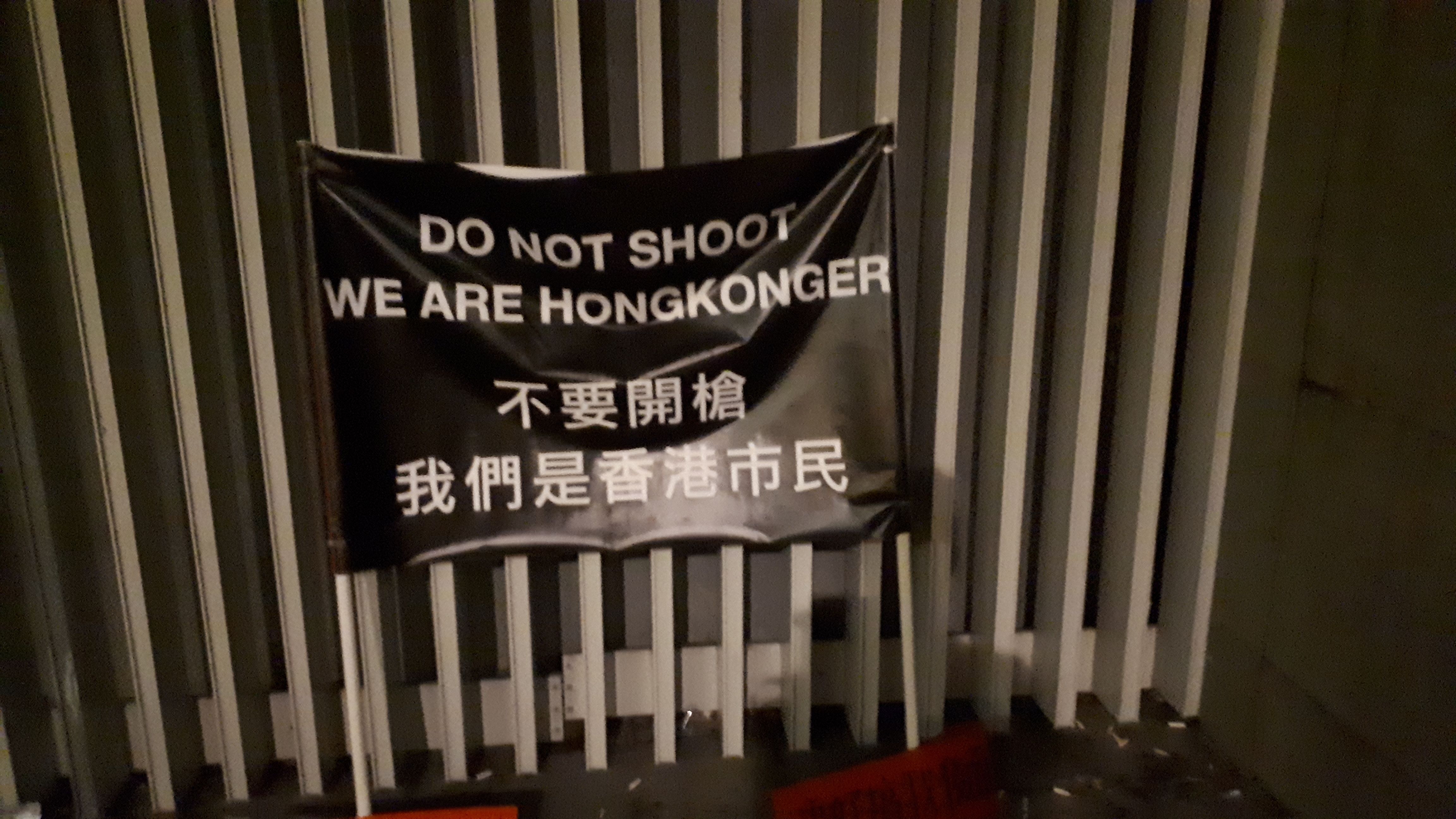Hong Kong protests