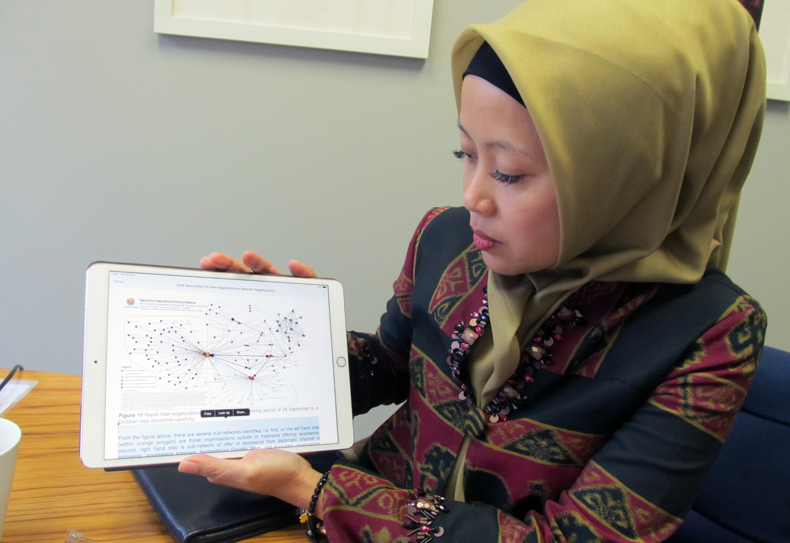 Adelina Kamal, AHA Centre