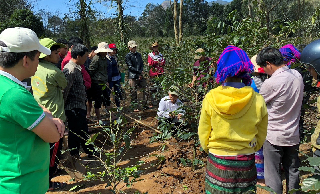 Coffee growers Huong Hoa district
