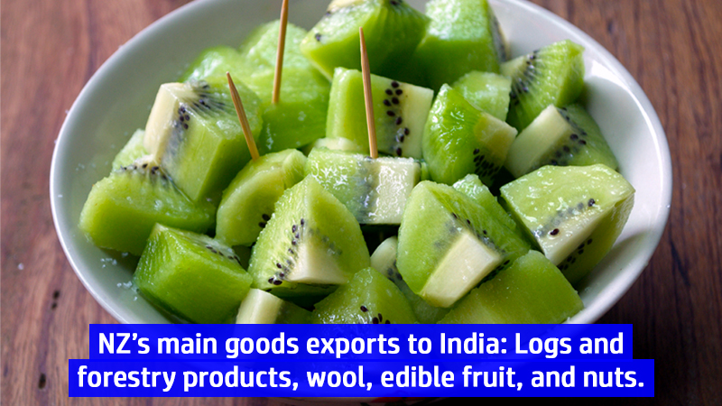 NZ to India Exports infographic