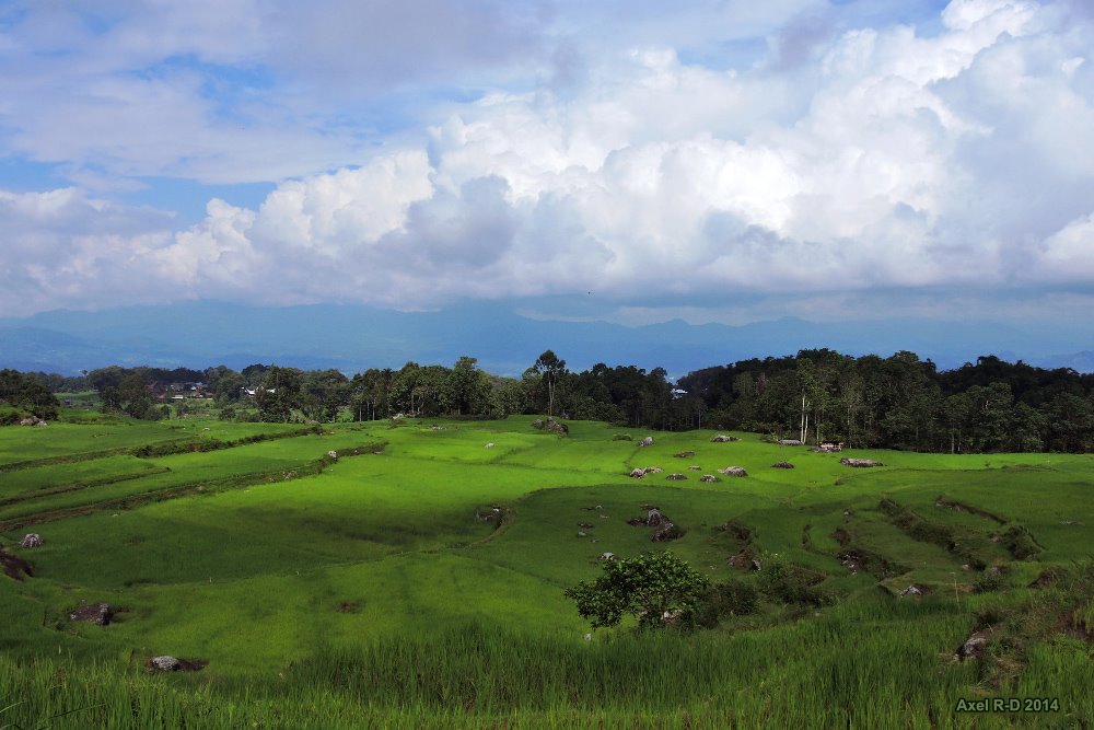 Toraja Selwyn District FB page