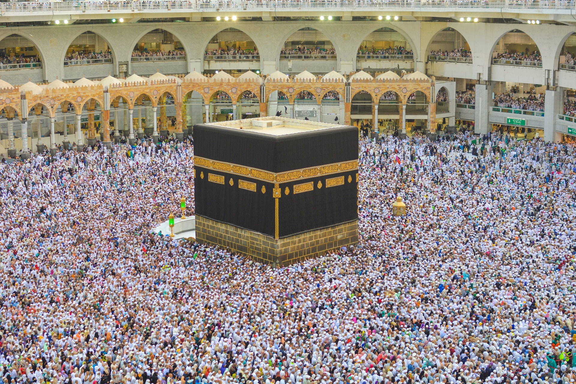 adli wahid cAQXApsh490 unsplash