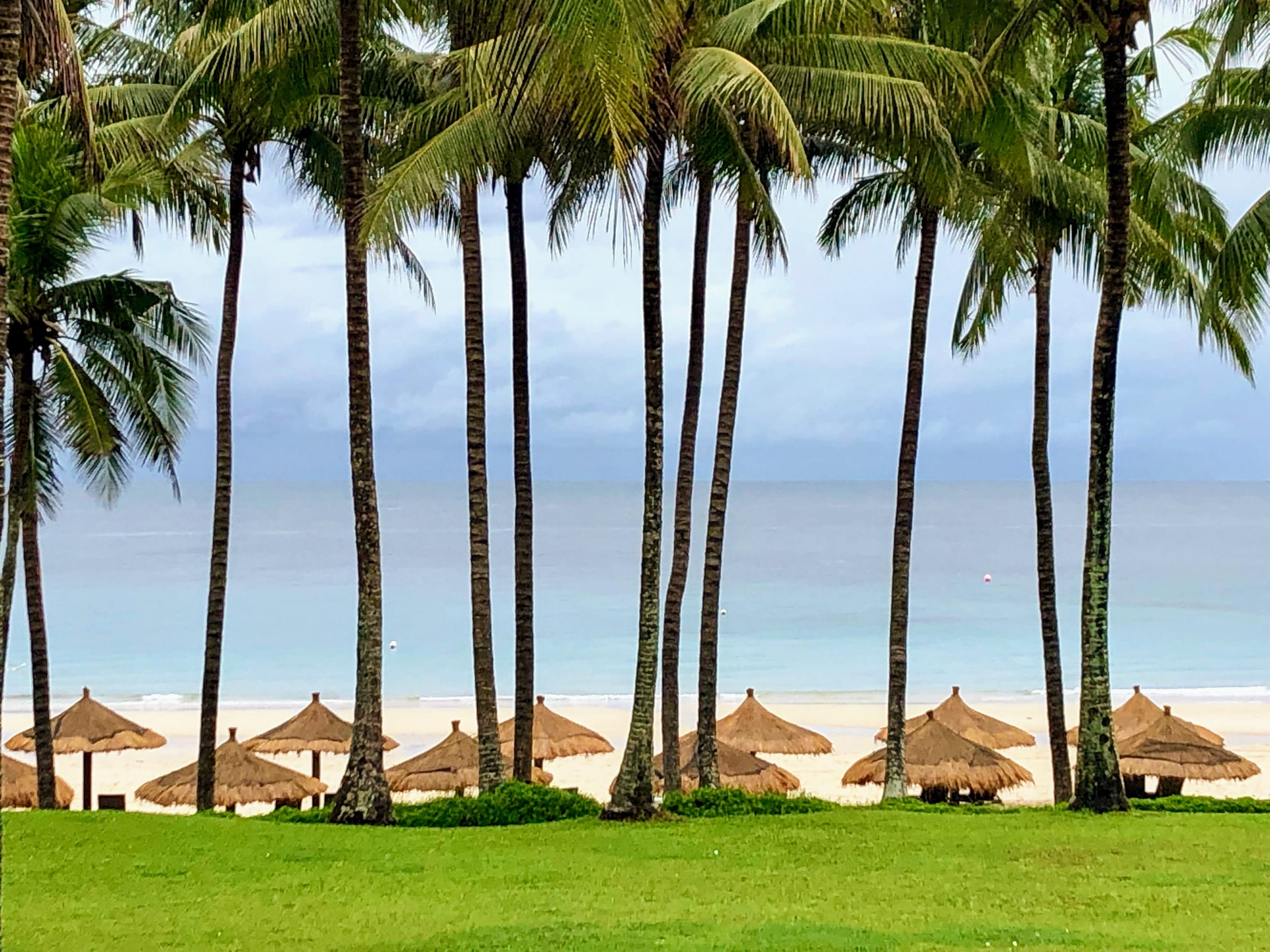 anil nallamotu sMCNMrRopX4 unsplash