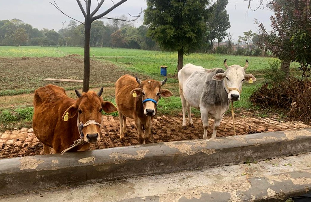 INZBC chair Earl Rattray: The India-NZ Relationship