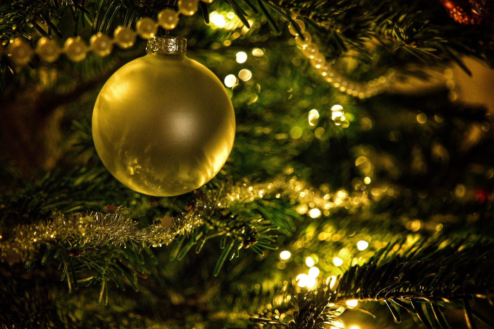 joran quinten DTGGv5JEP88 unsplash