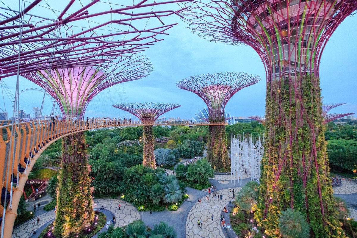 singapore124