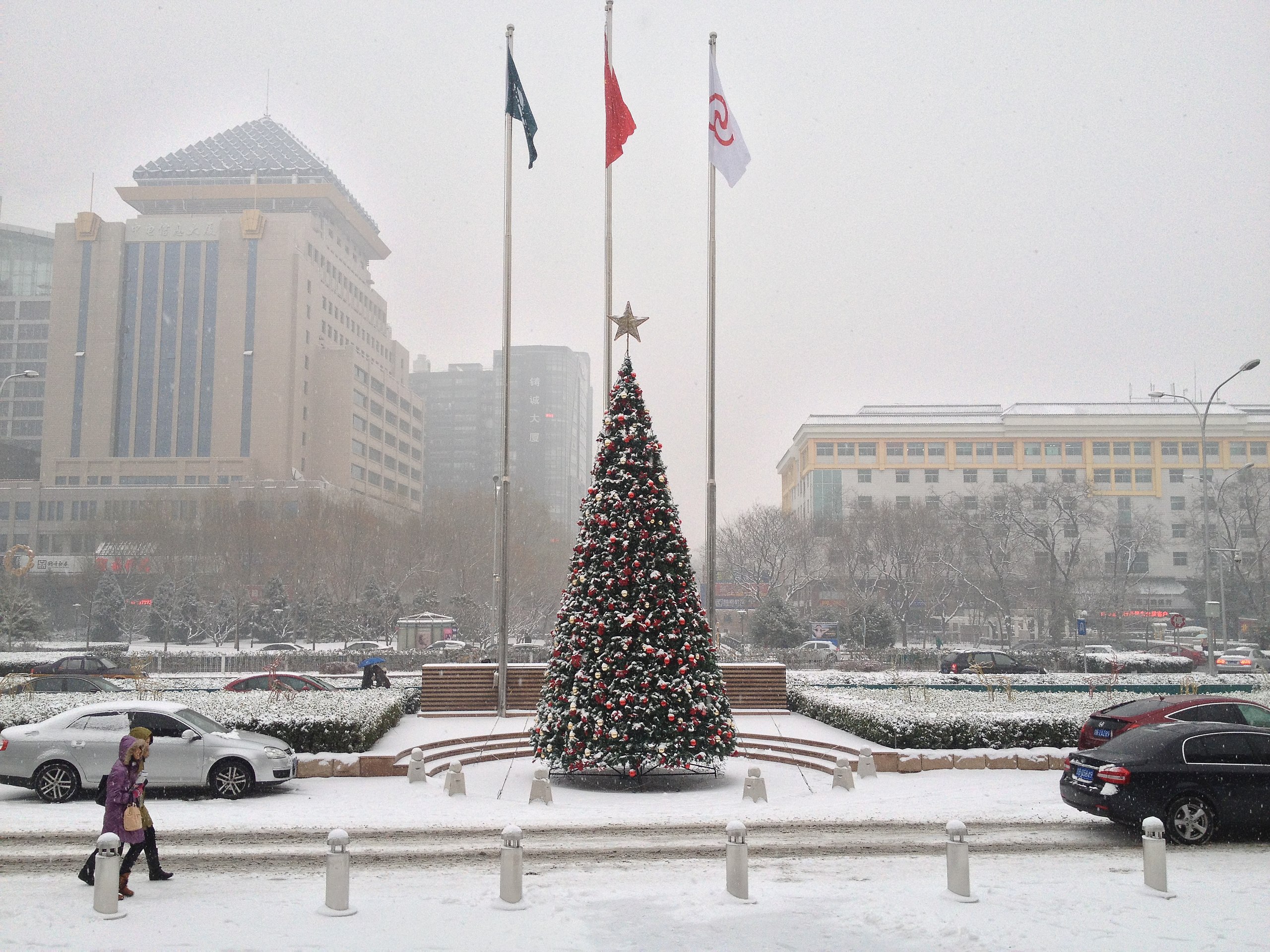 A Christmas tree in a public square, covered in snow on a grey day