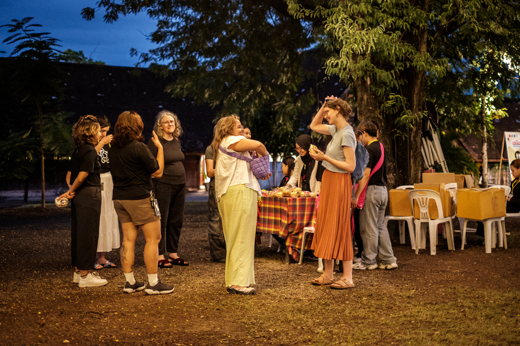 In a backyard evening scene at dusk, a group of people stand and talk to each other
