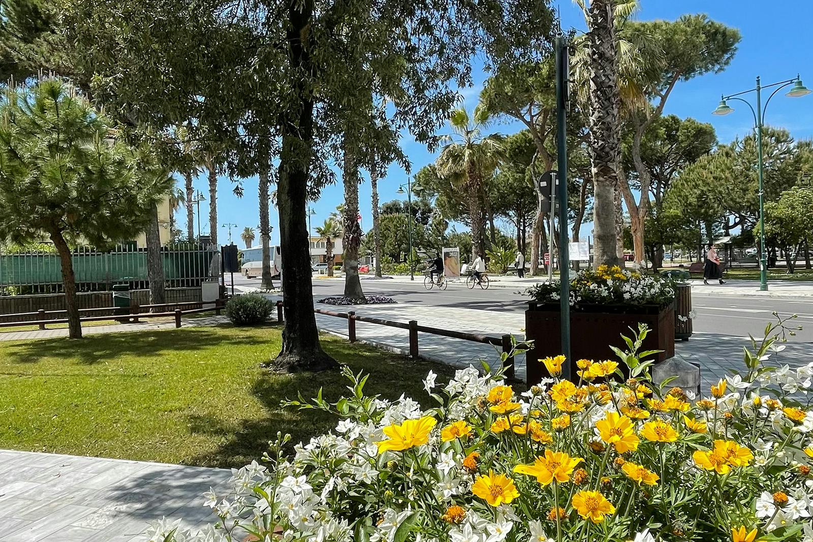 Fiori a Forte dei Marmi