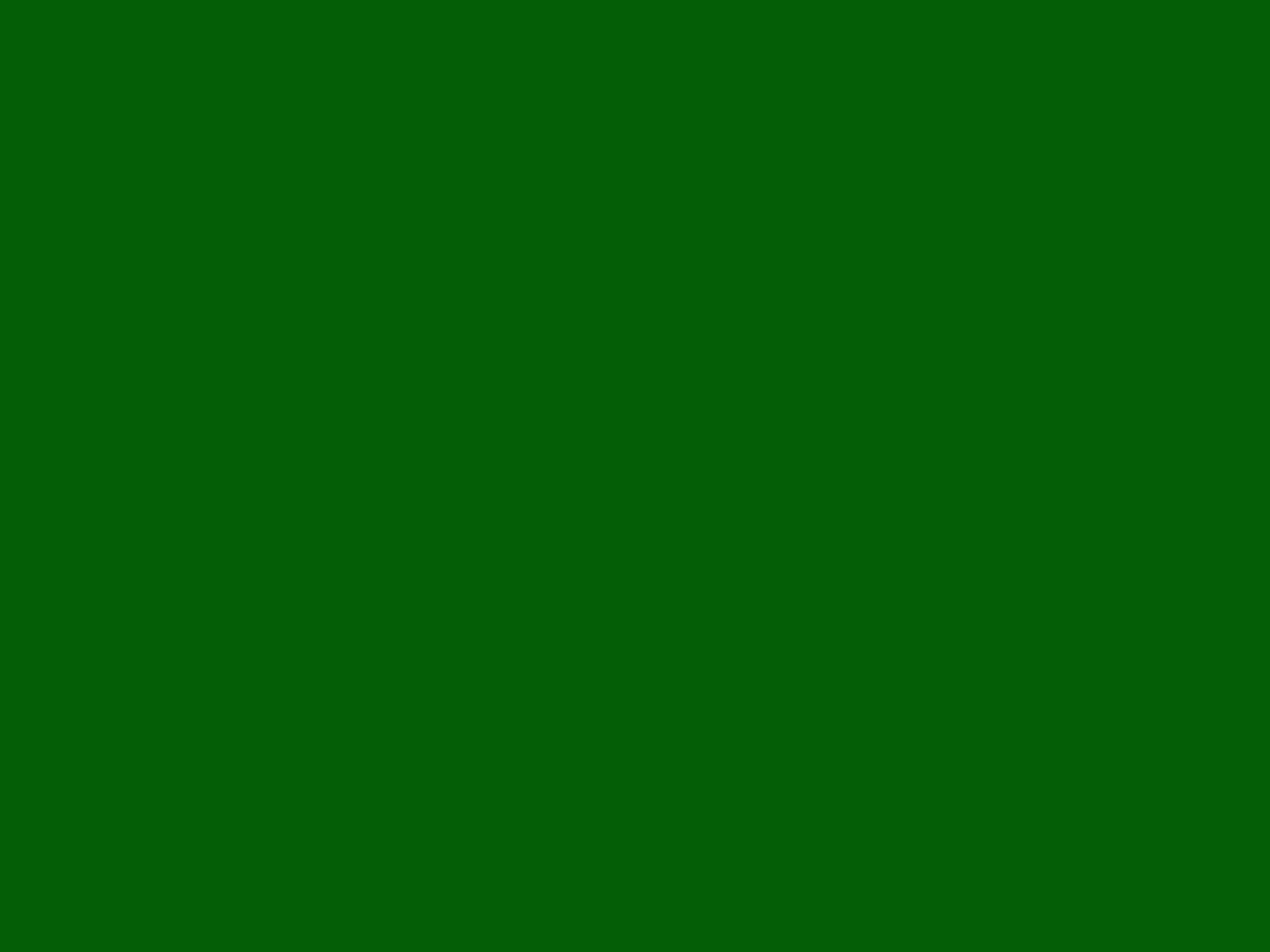 segnaposto foto verde