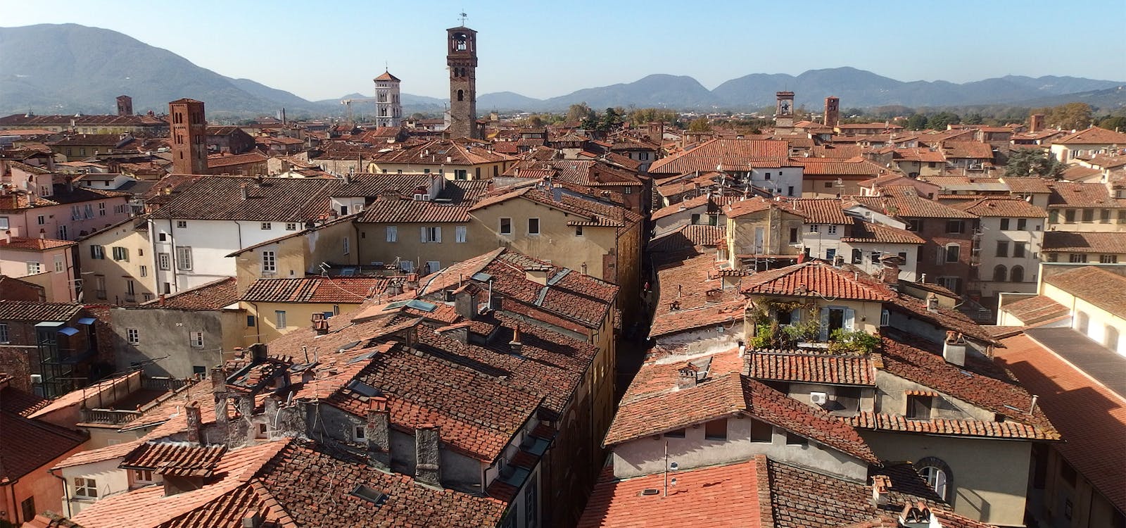 Veduta del centro stortico di Lucca Veduta del centro stortico di Lucca