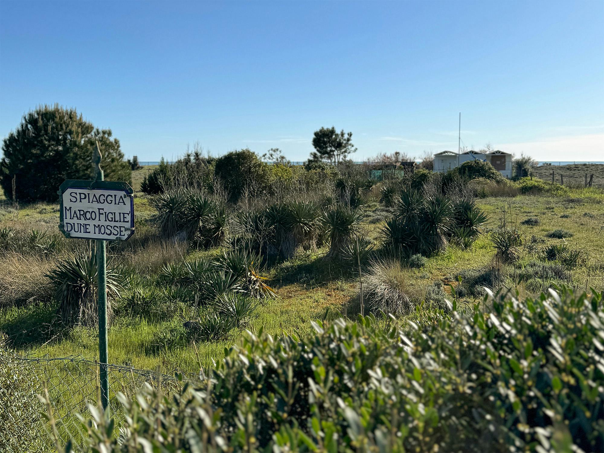 Le dune della spiaggia libera di Forte dei Marmi